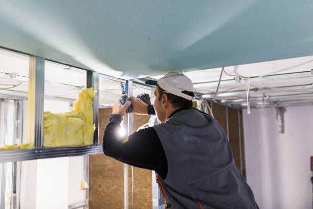 Best Insulation Replacement Services  in Munford, AL