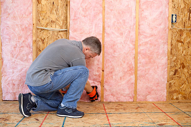 Best Energy-efficient Insulation  in Munford, AL