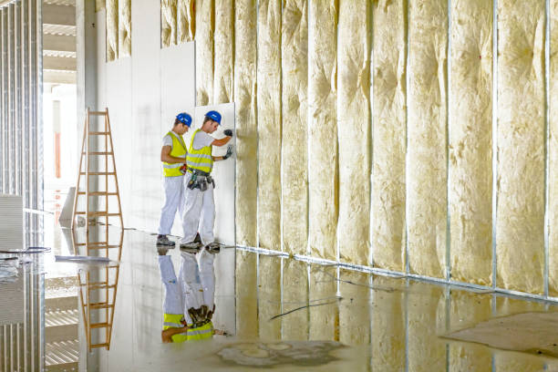 Best Professional Insulation Contractor  in Munford, AL